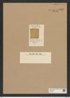 Actinoptychus tuberosus Lend.-Fortm. (de-Toni-Nr.: Genus 227, Species 5536) Zeichnungen Sammlung Grunow Nr. 9567 (NHMW-BOT-W0379375)